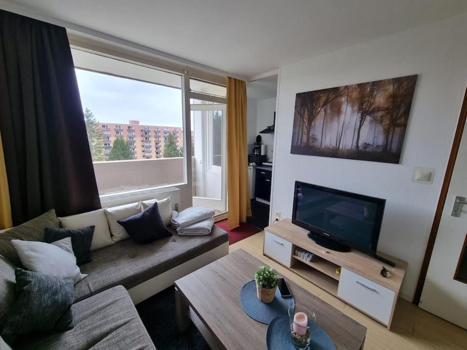 Ferienwohnung Altenau Im Harz, Hunde ภายนอก รูปภาพ